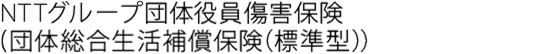 NTTグループ団体役員傷害保険