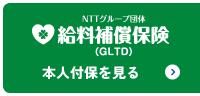 NTTグループ団体給料補償保険(GLTD) 本人付保を見る