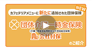 きららの安心保険相談